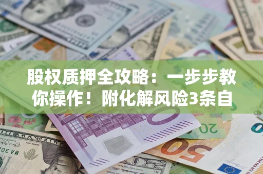 北京股权质押全攻略：一步步教你操作！附化解风险3条自救法则