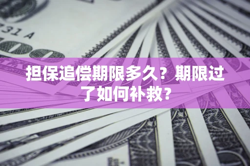 北京担保追偿期限多久？期限过了如何补救？