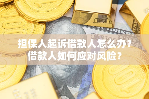 北京担保人起诉借款人怎么办？借款人如何应对风险？