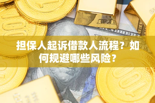 北京担保人起诉借款人流程？如何规避哪些风险？